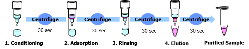 抗体精製が10分で完了の図