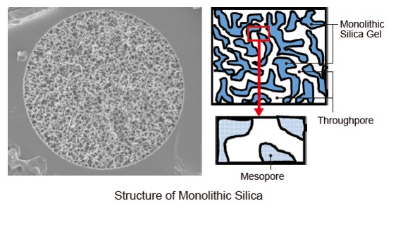 Structure of Monolithic Silica